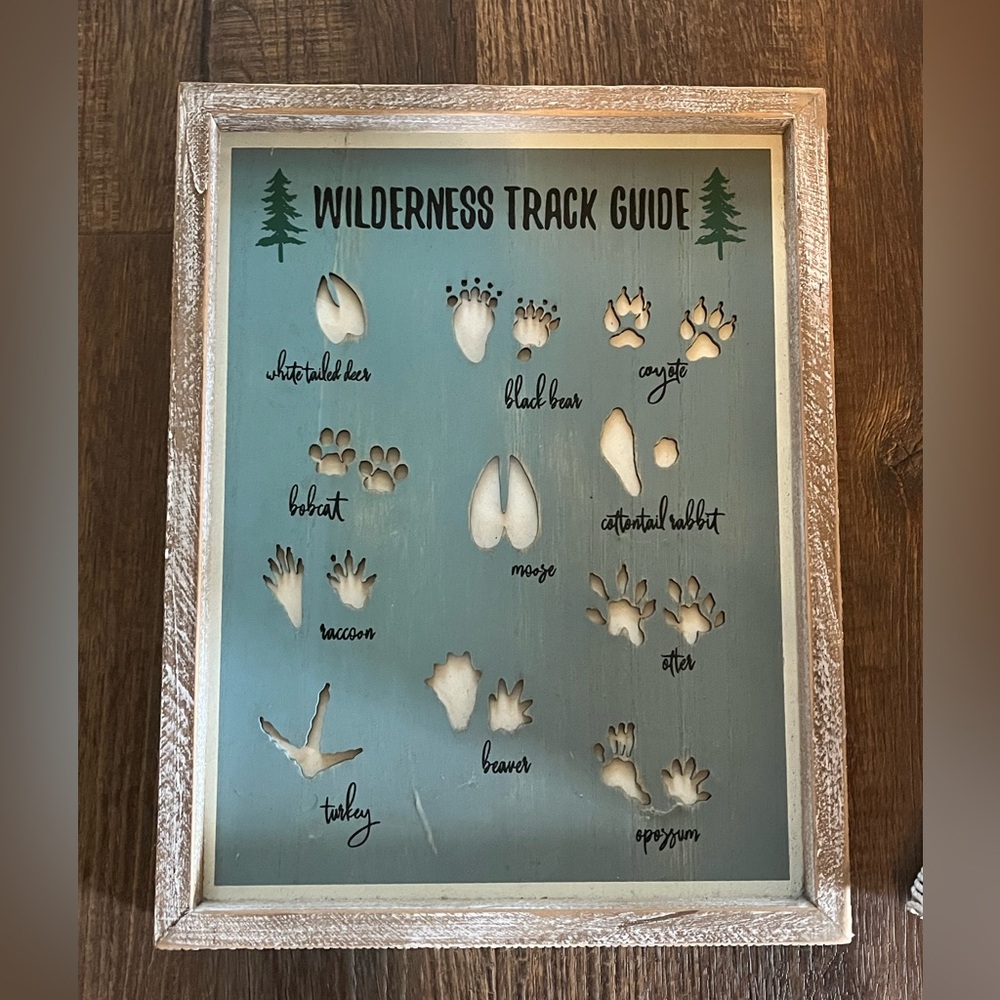 Wilderness Track Guide Framed Wall Art - sage green